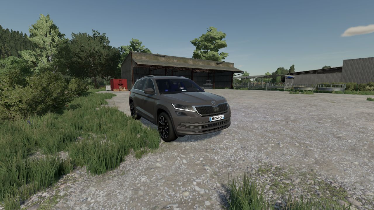 Skoda Kodiaq 2019 BAC