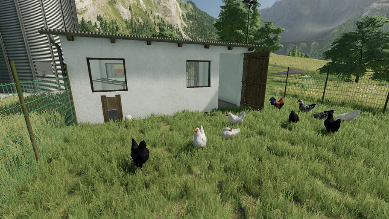 Small Chicken Barn