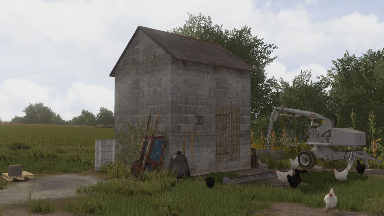 Small Chicken Coop