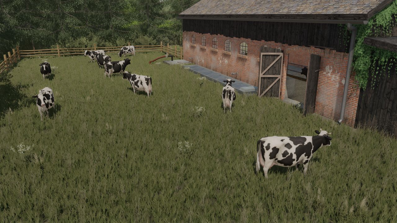 Small Cowshed with pasture