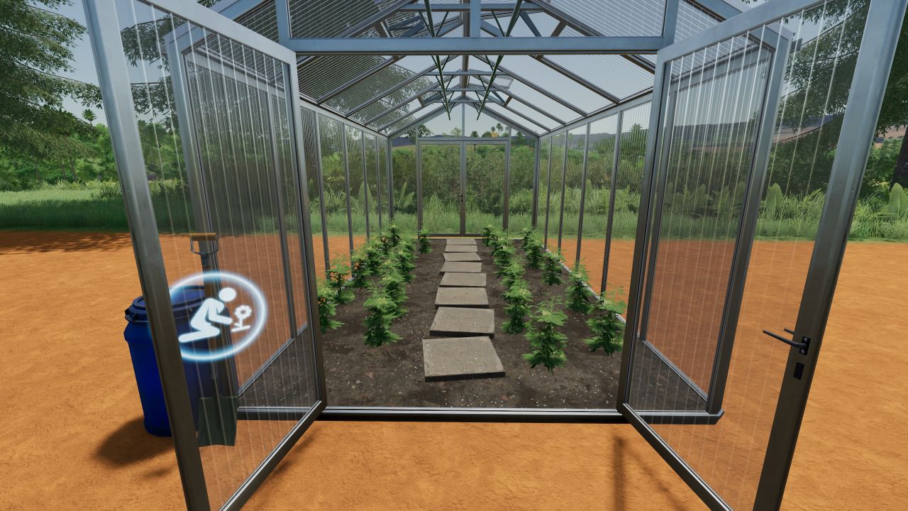 Small Greenhouse For Tomatoes