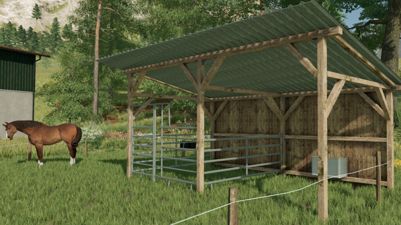 Small Horse Pasture