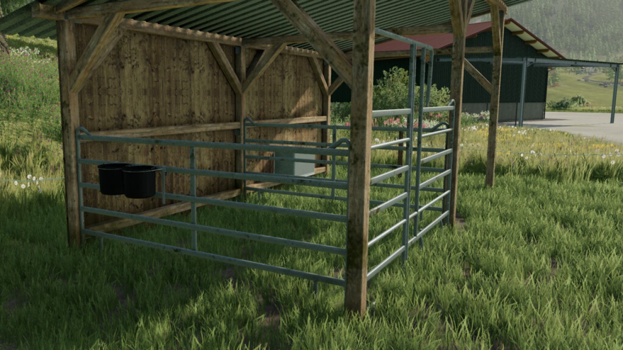 Small Horse Pasture