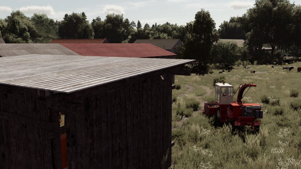 Petit Hangar En Bois Ancien