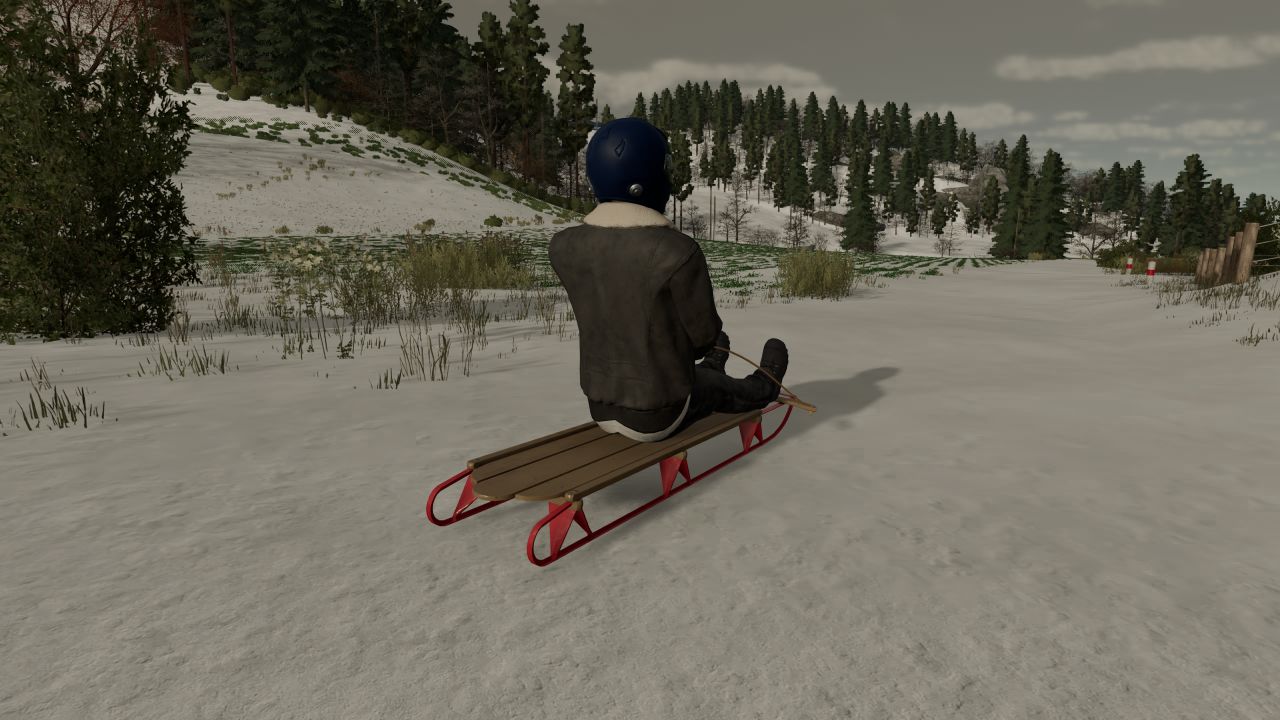 Luge à neige