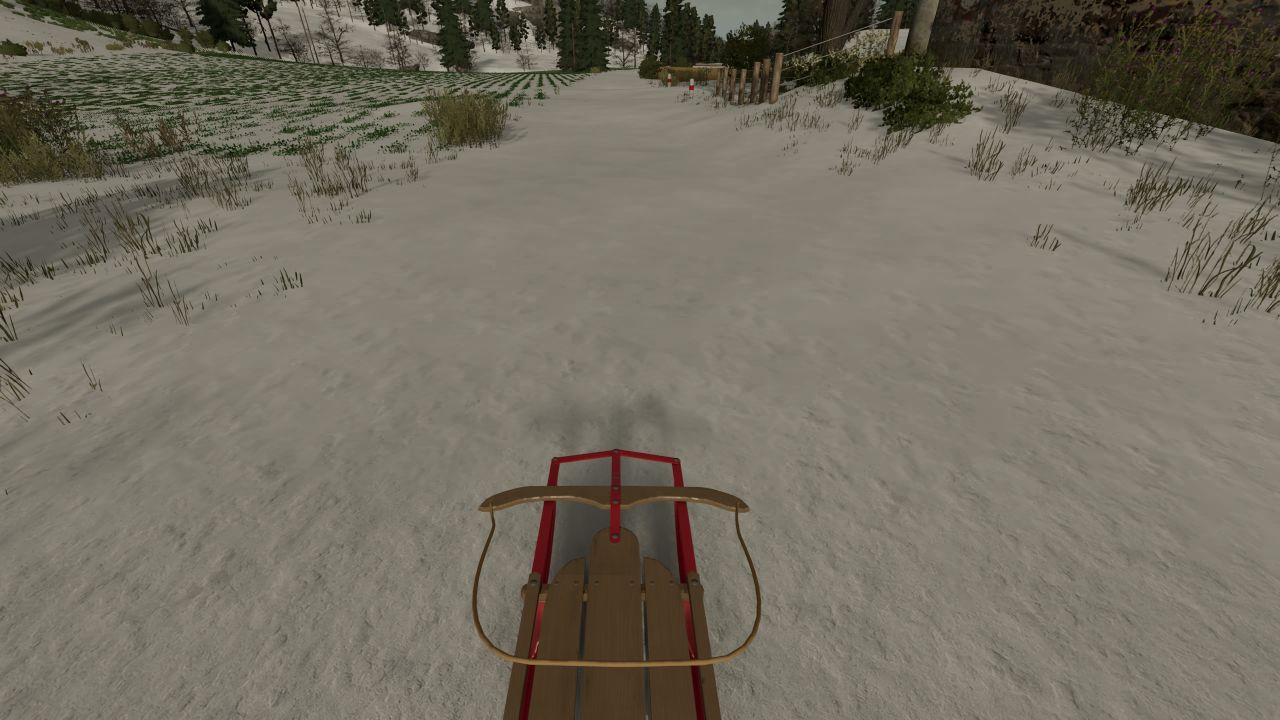 Snow sled