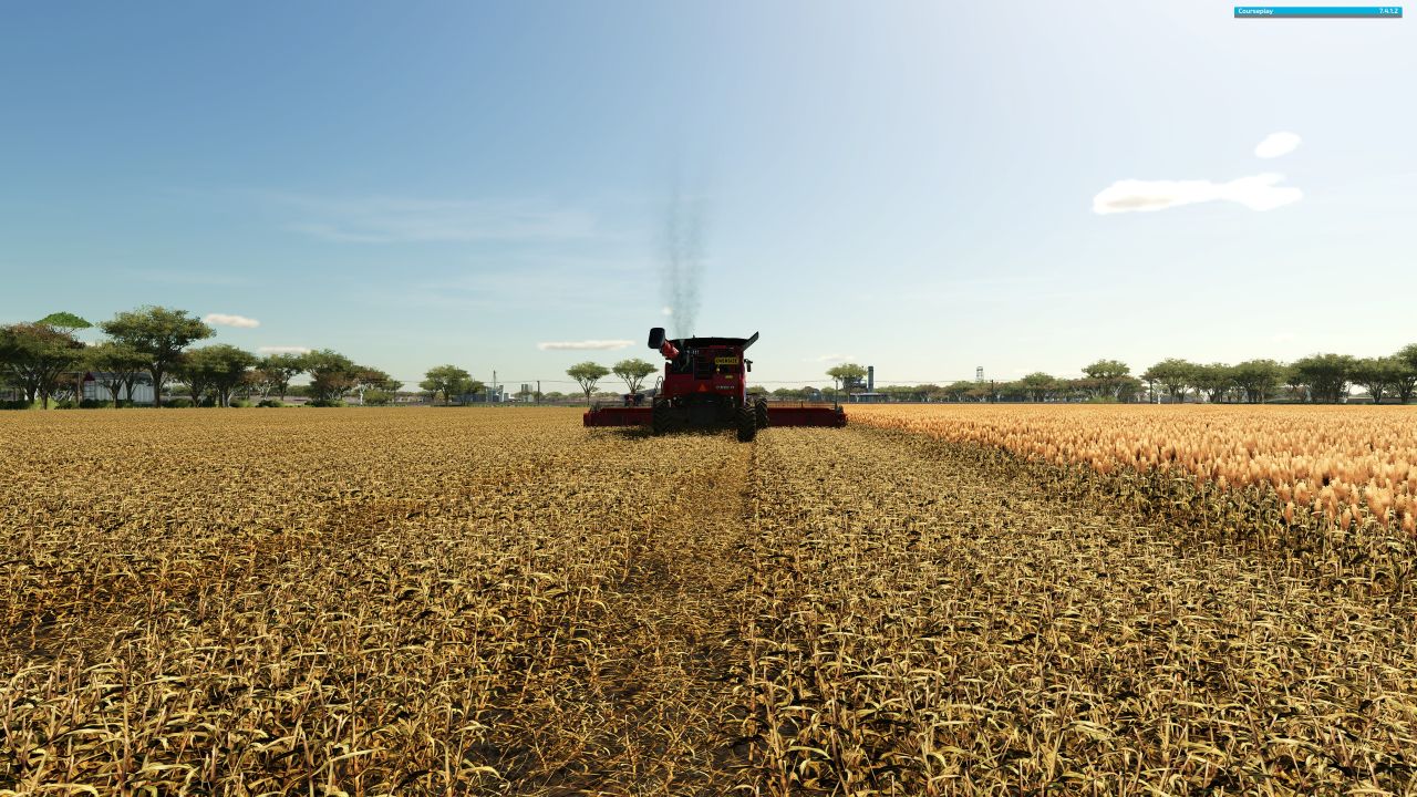 Follaje de sorgo y girasoles.