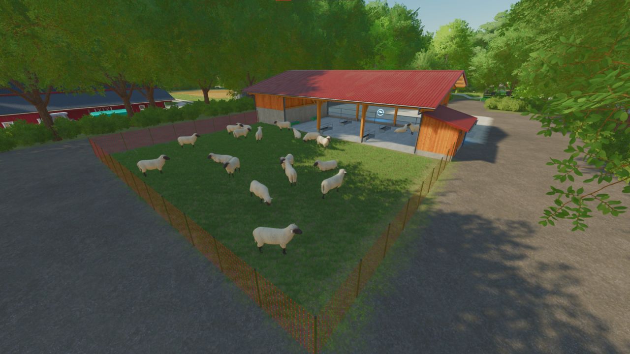 Stable 5000 sheep