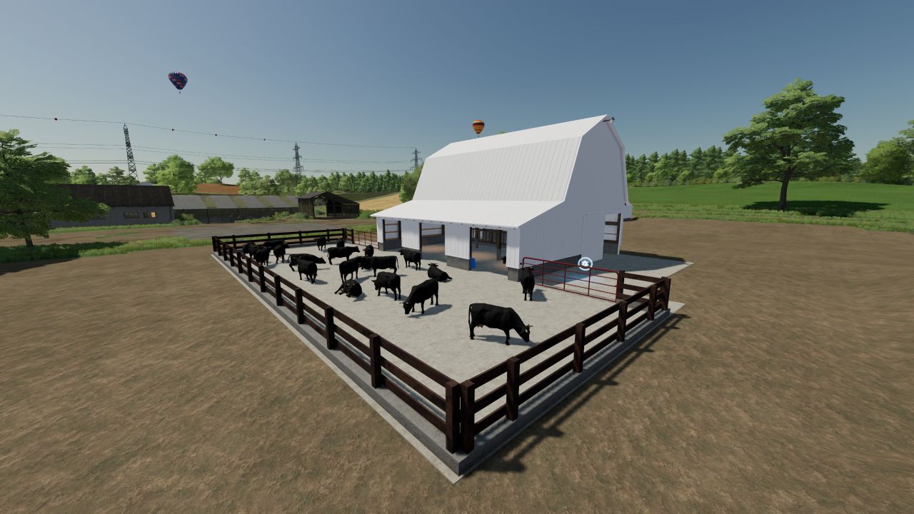 Steer/Heifer barn