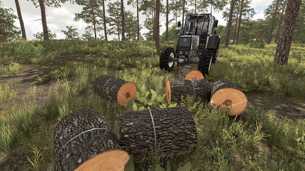 Steyr 8165 Forestry Edition