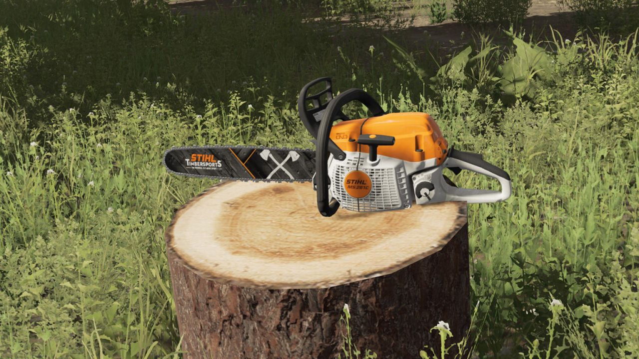 STIHL MS 261 C-M Light 04