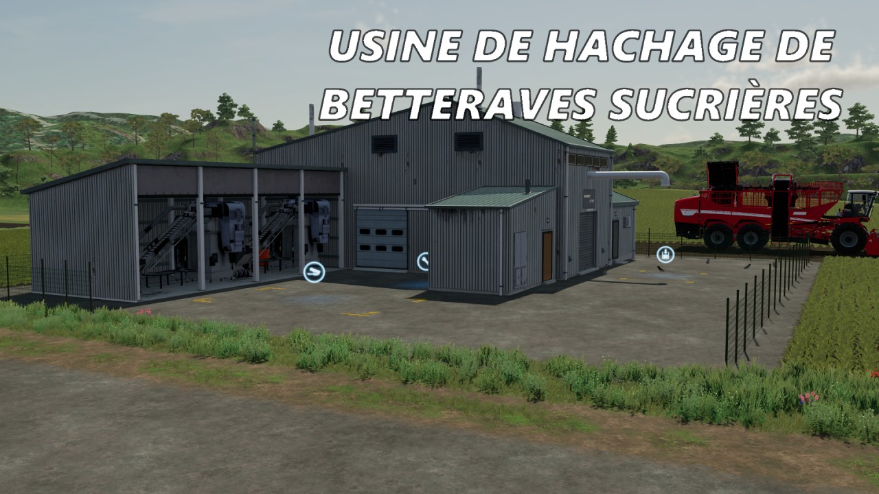 Usine de hachage de betteraves sucrières 