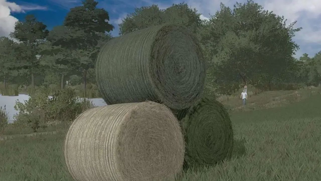 Textures of straw bales, hay and grass