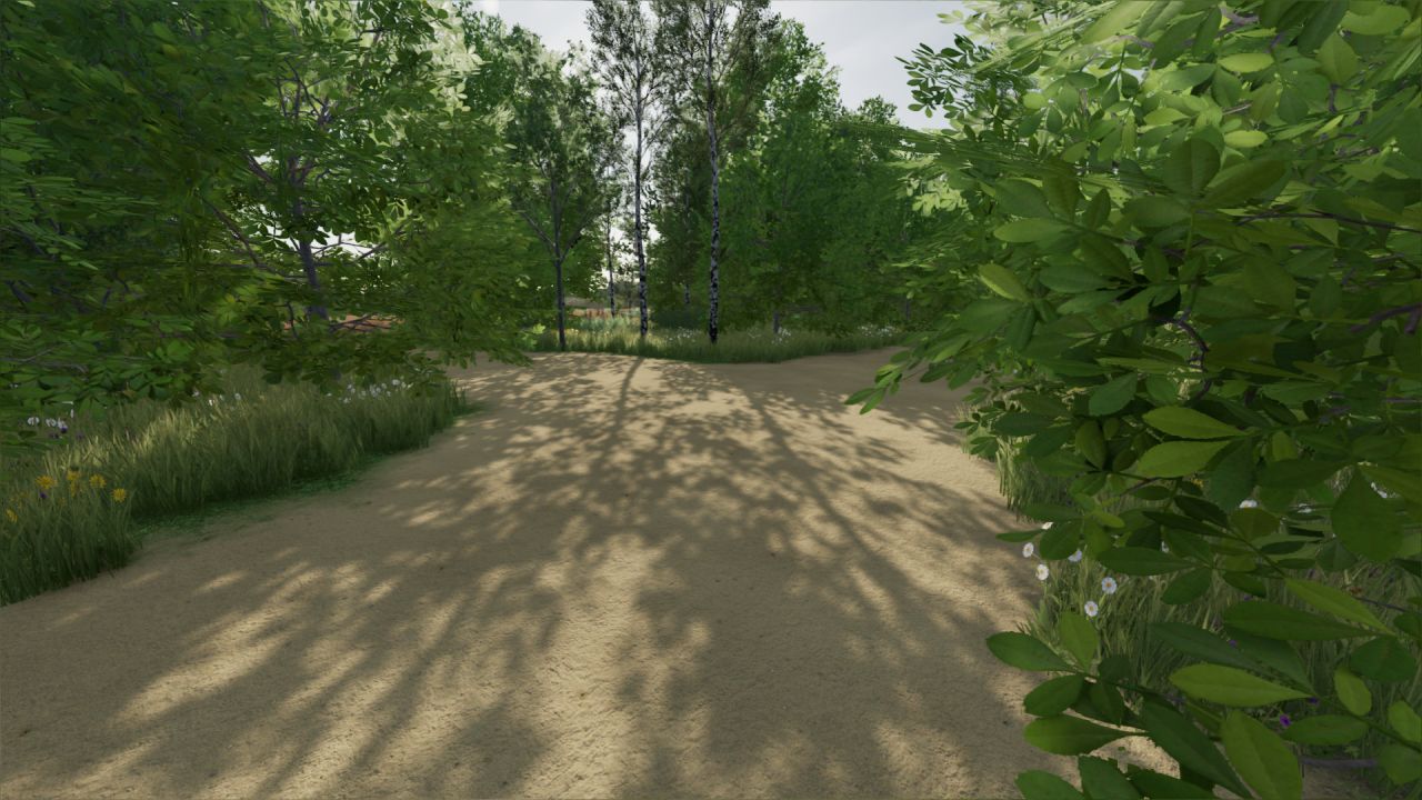 The Border