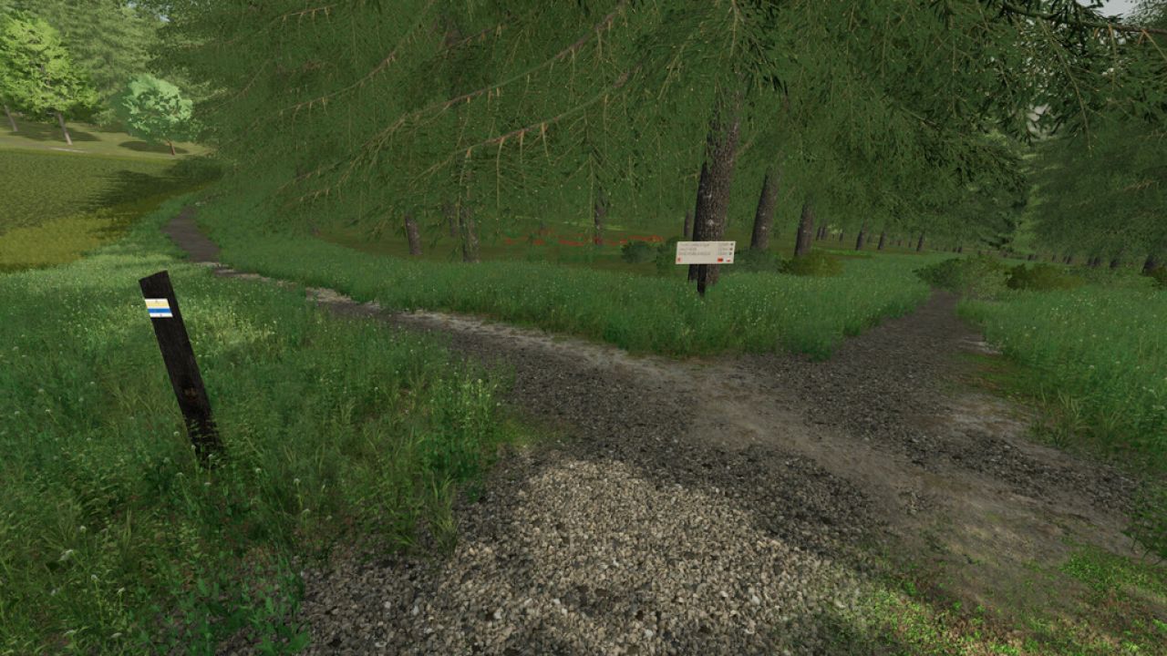 The Risoux Forest