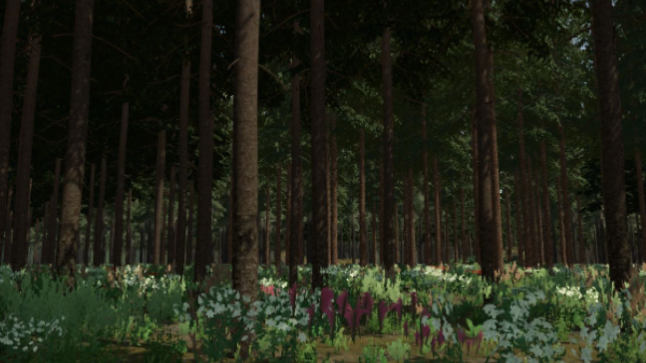 Thick Forest