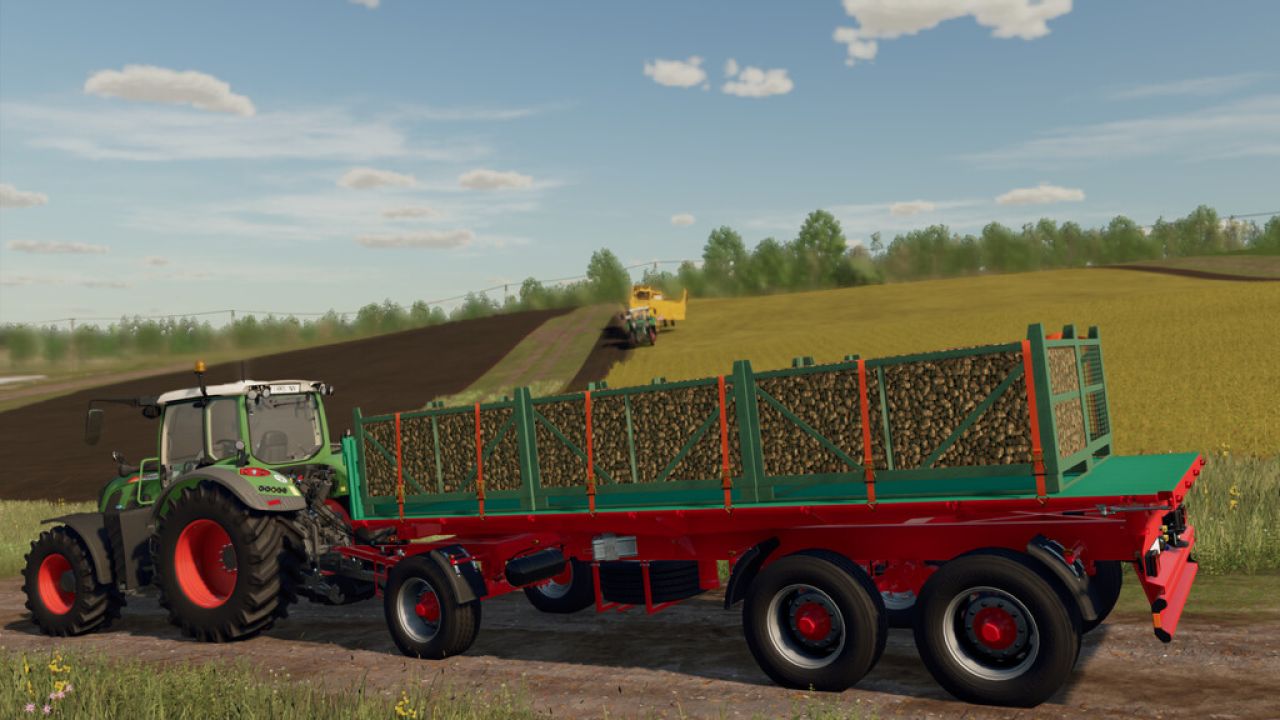 Transport Boxes For Vegetables