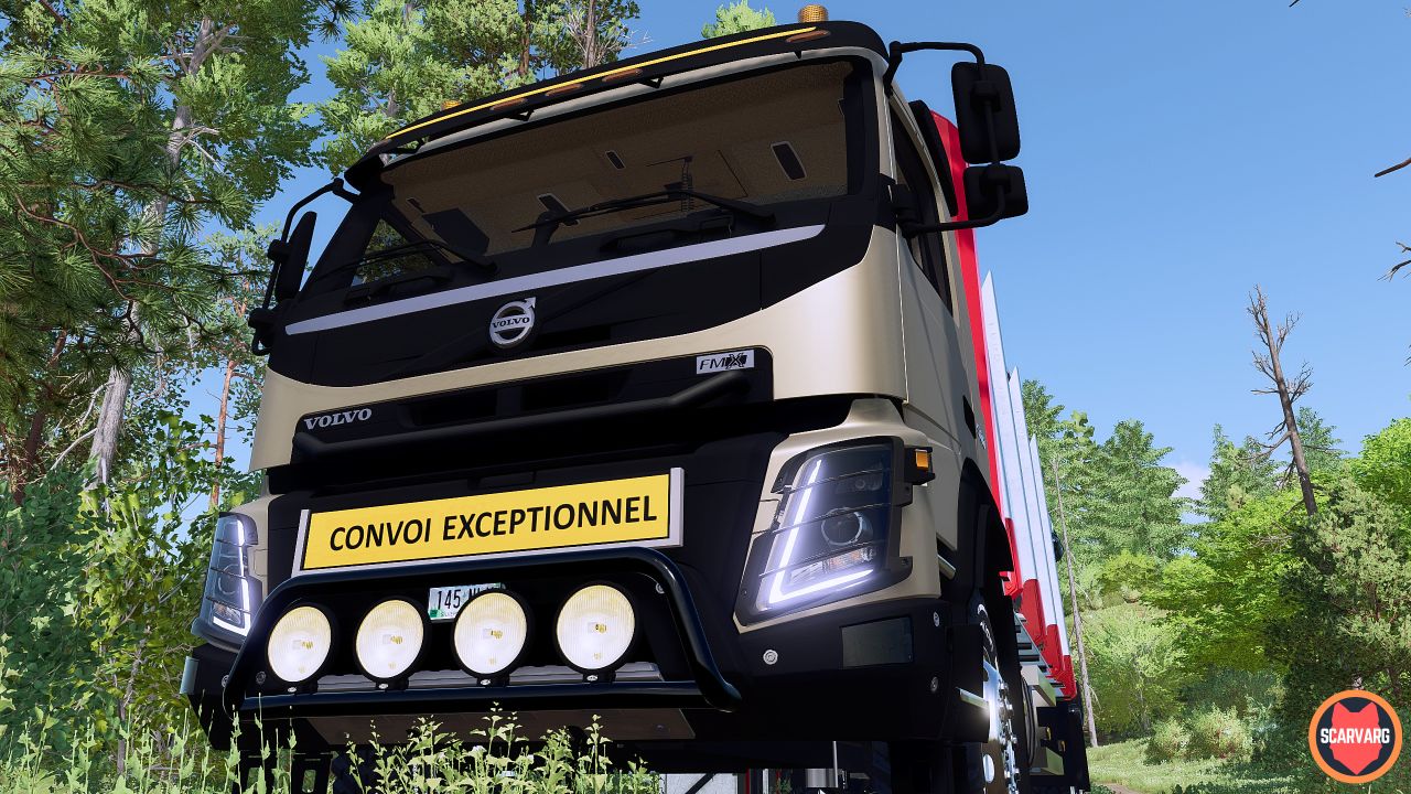 Volvo FMX Forstwirtschaft