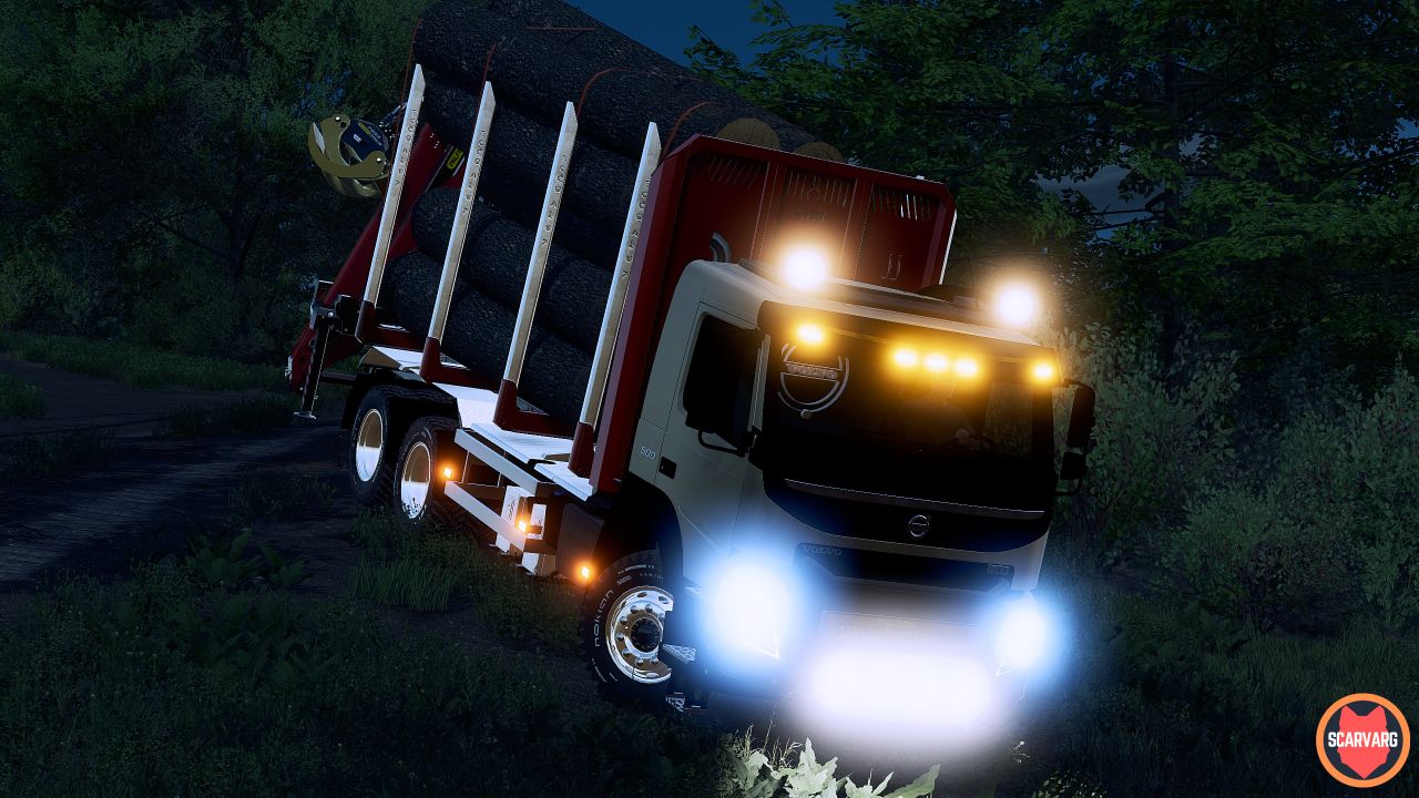 Volvo FMX forestale