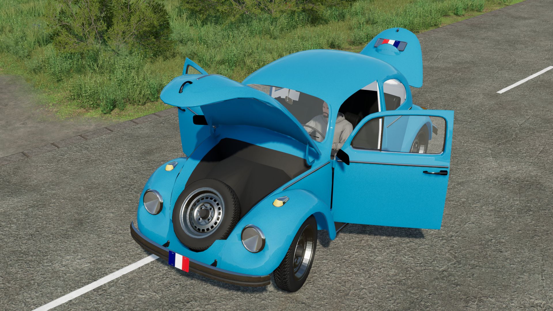 VW Beetle
