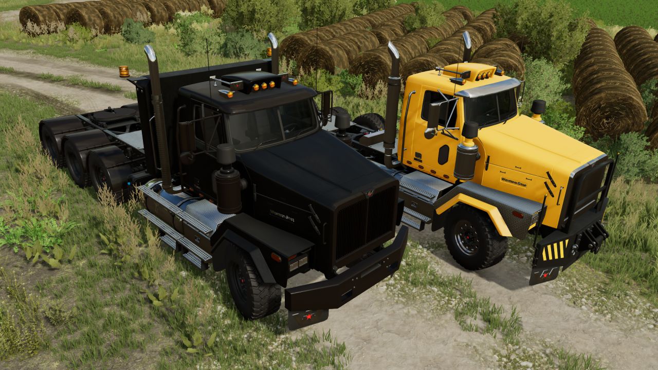 Western Star 4900 SB