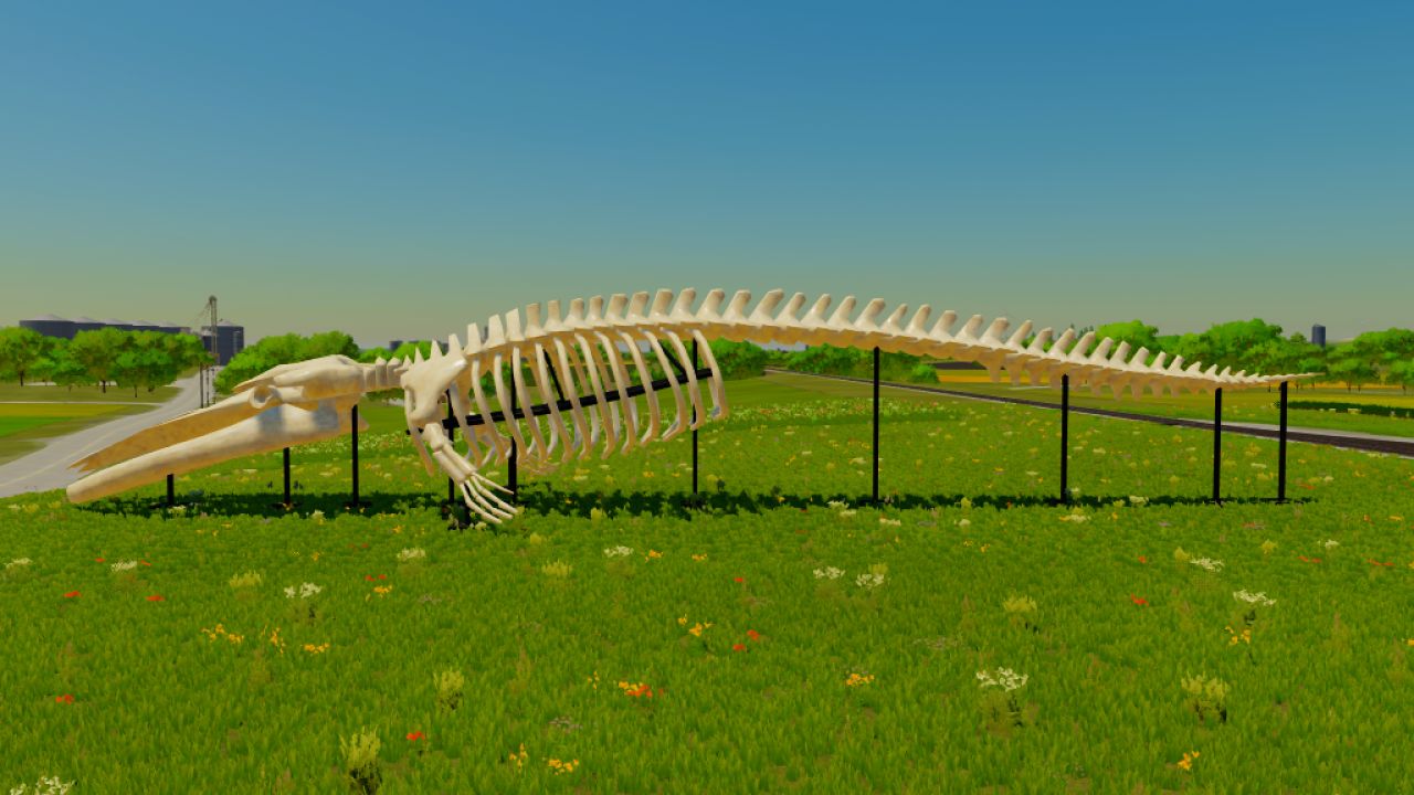 Whale Skeleton Sculpture