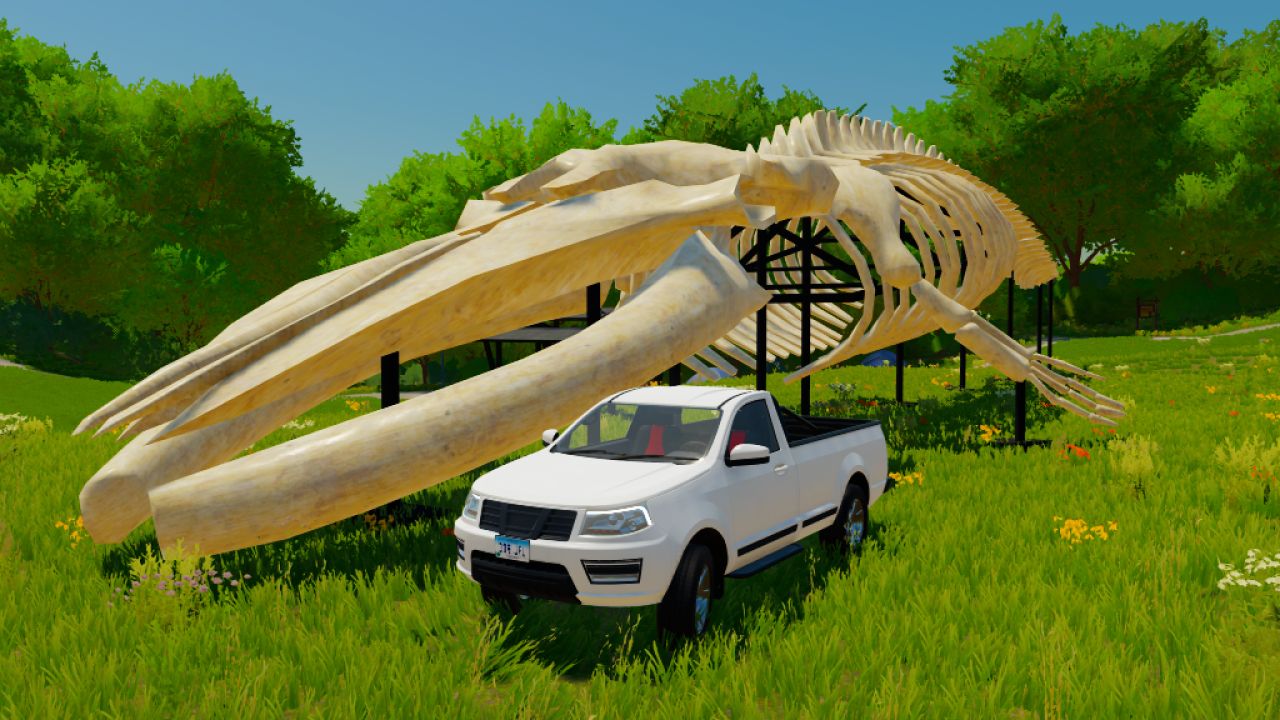 Whale Skeleton Sculpture