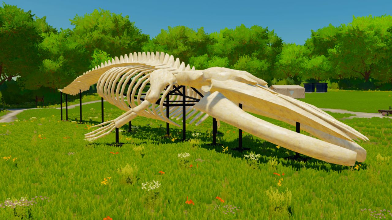 Whale Skeleton Sculpture
