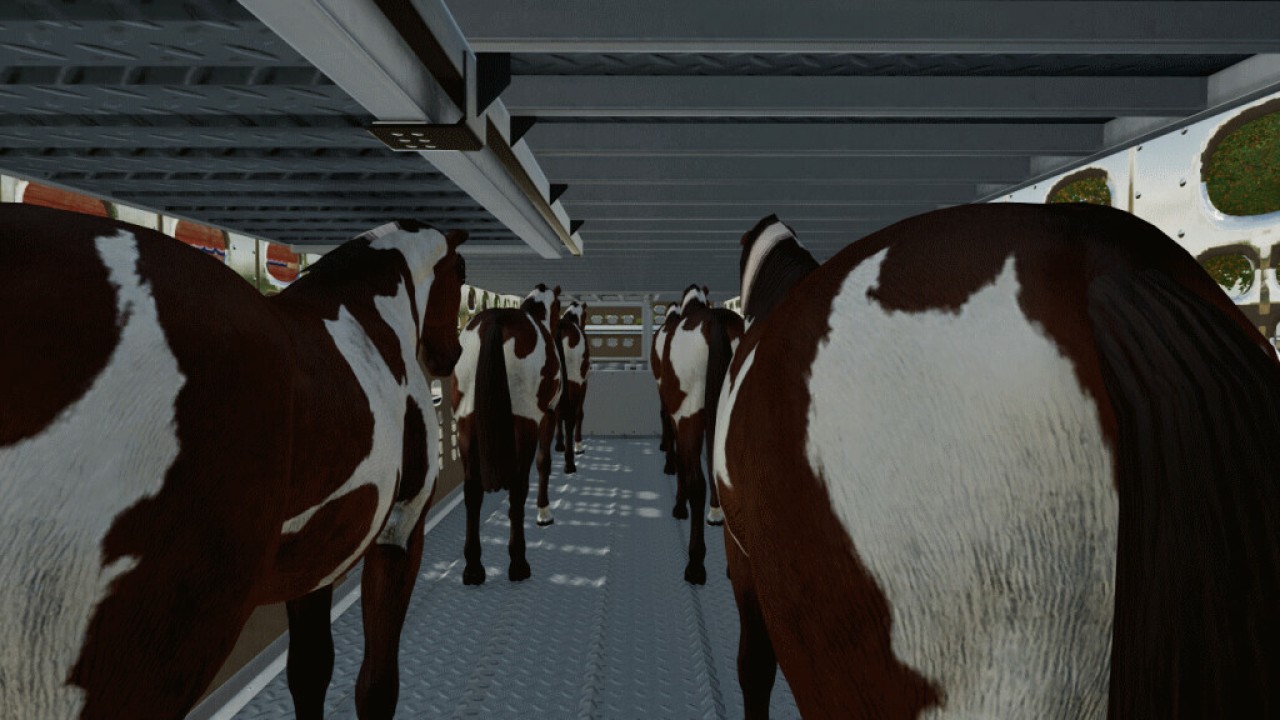 Rimorchio del bestiame di Wilson Silverstar