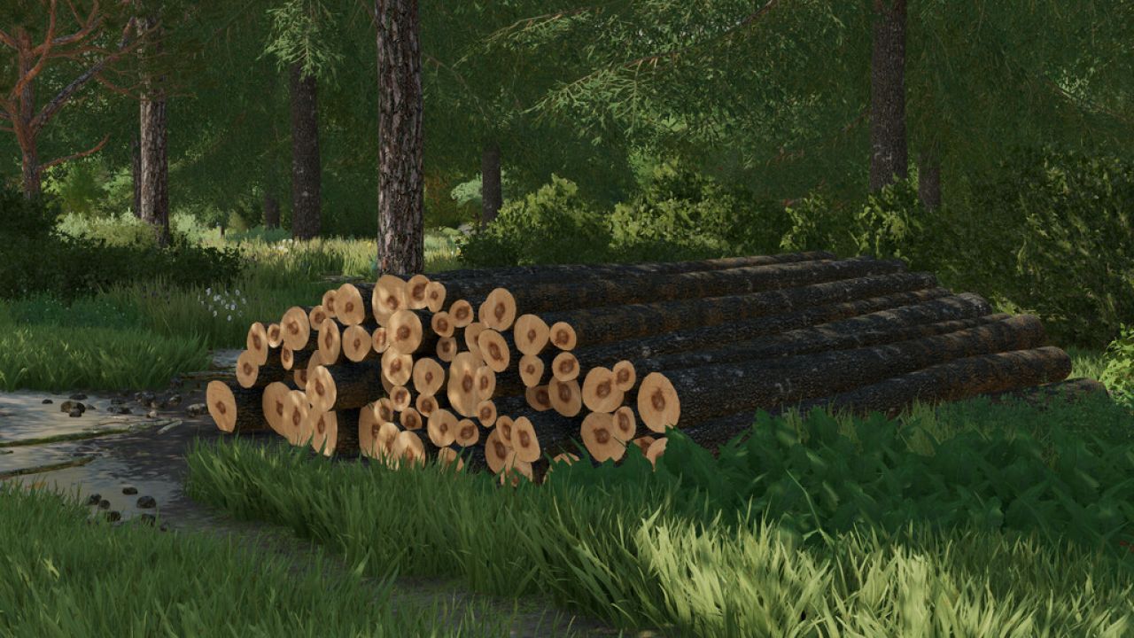 Wooden Pile