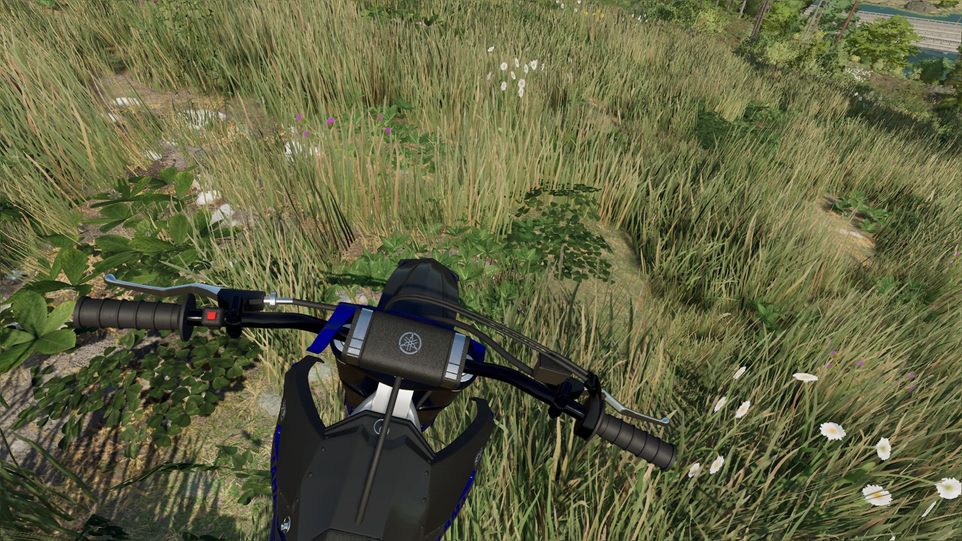 Yamaha YZ250F
