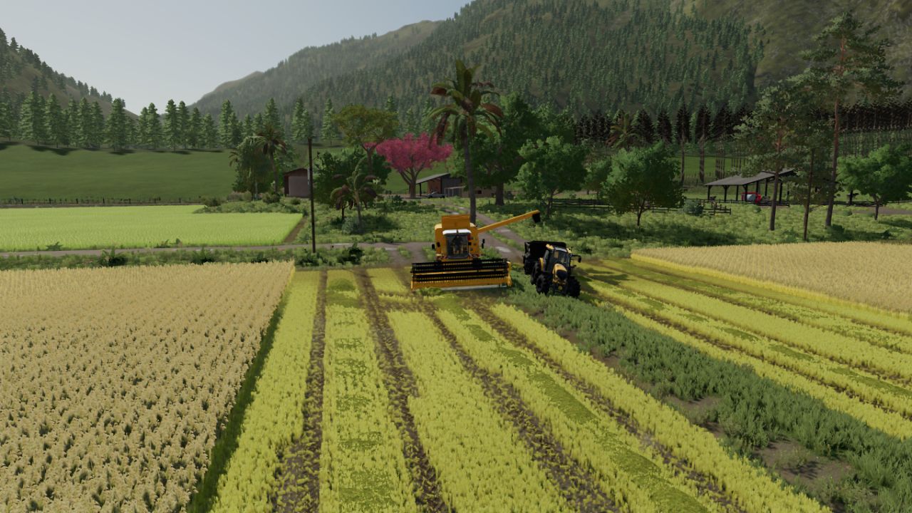 Agro Sul rice