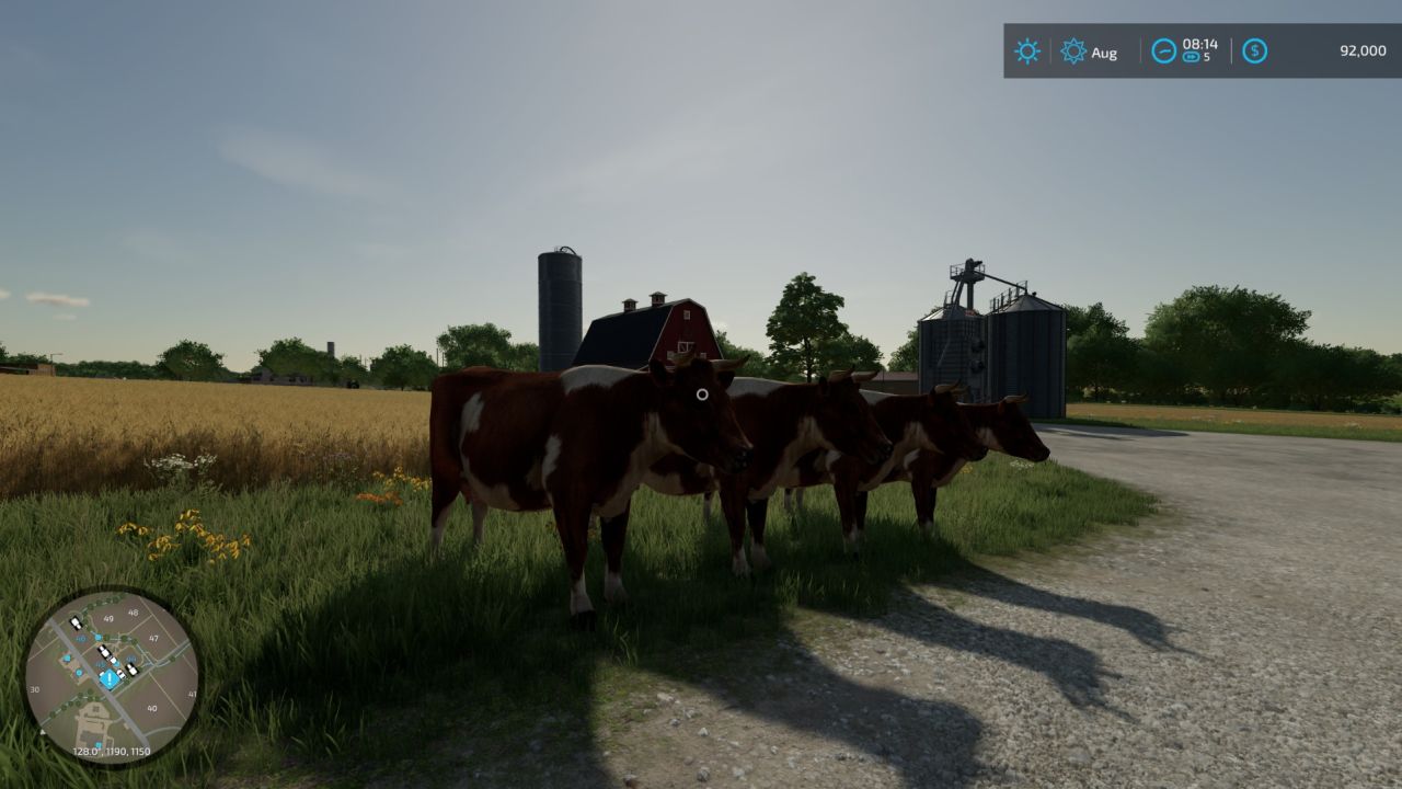 Cow Placeable