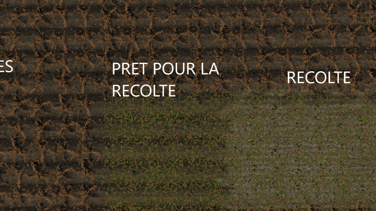 L'Ostrevant