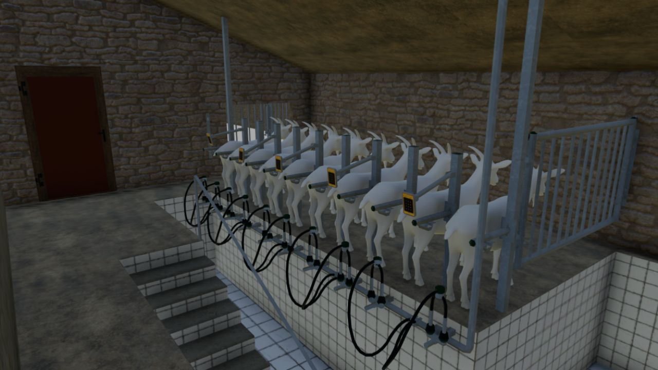 Sheepfold with milking parlor