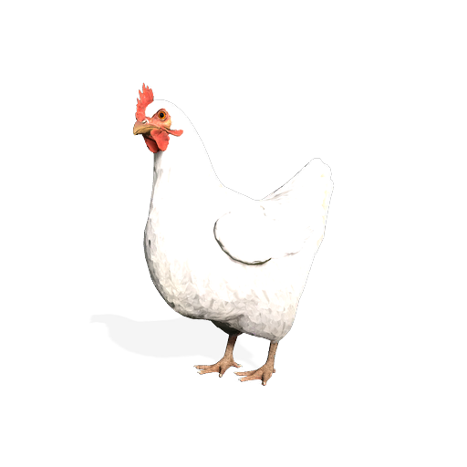 pollos