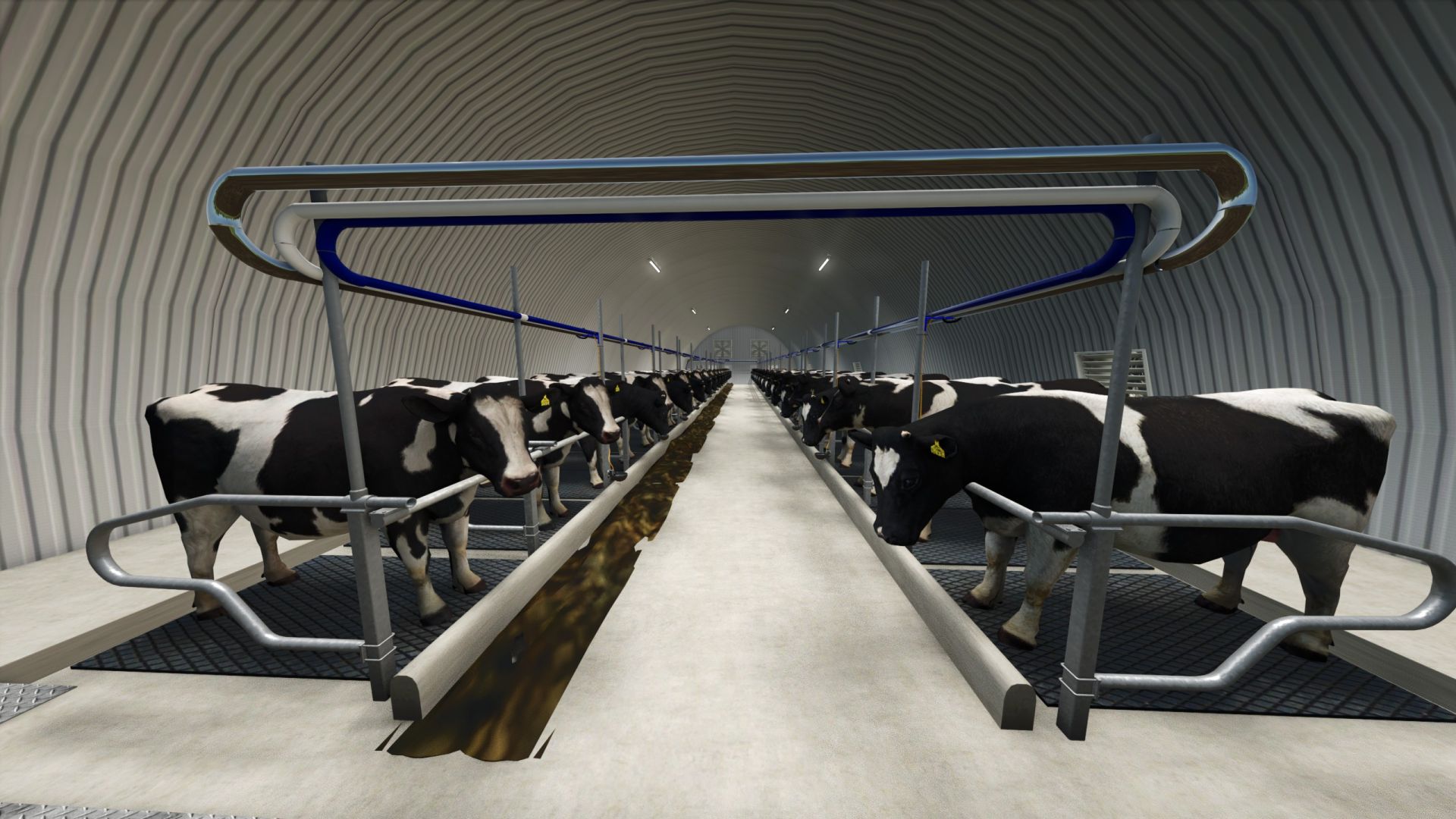 165x42 Dome -Krawattenstand
