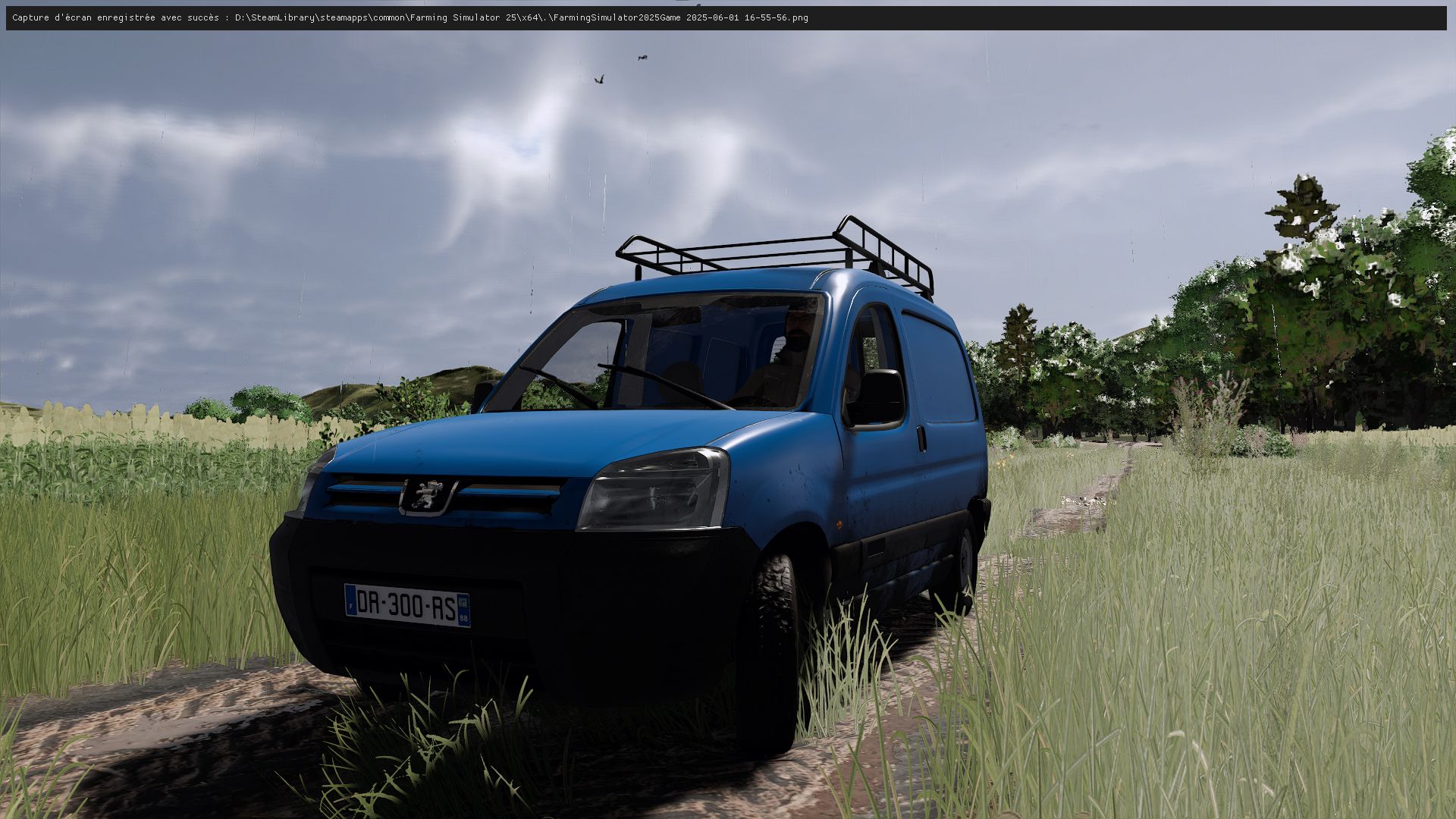 2006 Peugeot Partner