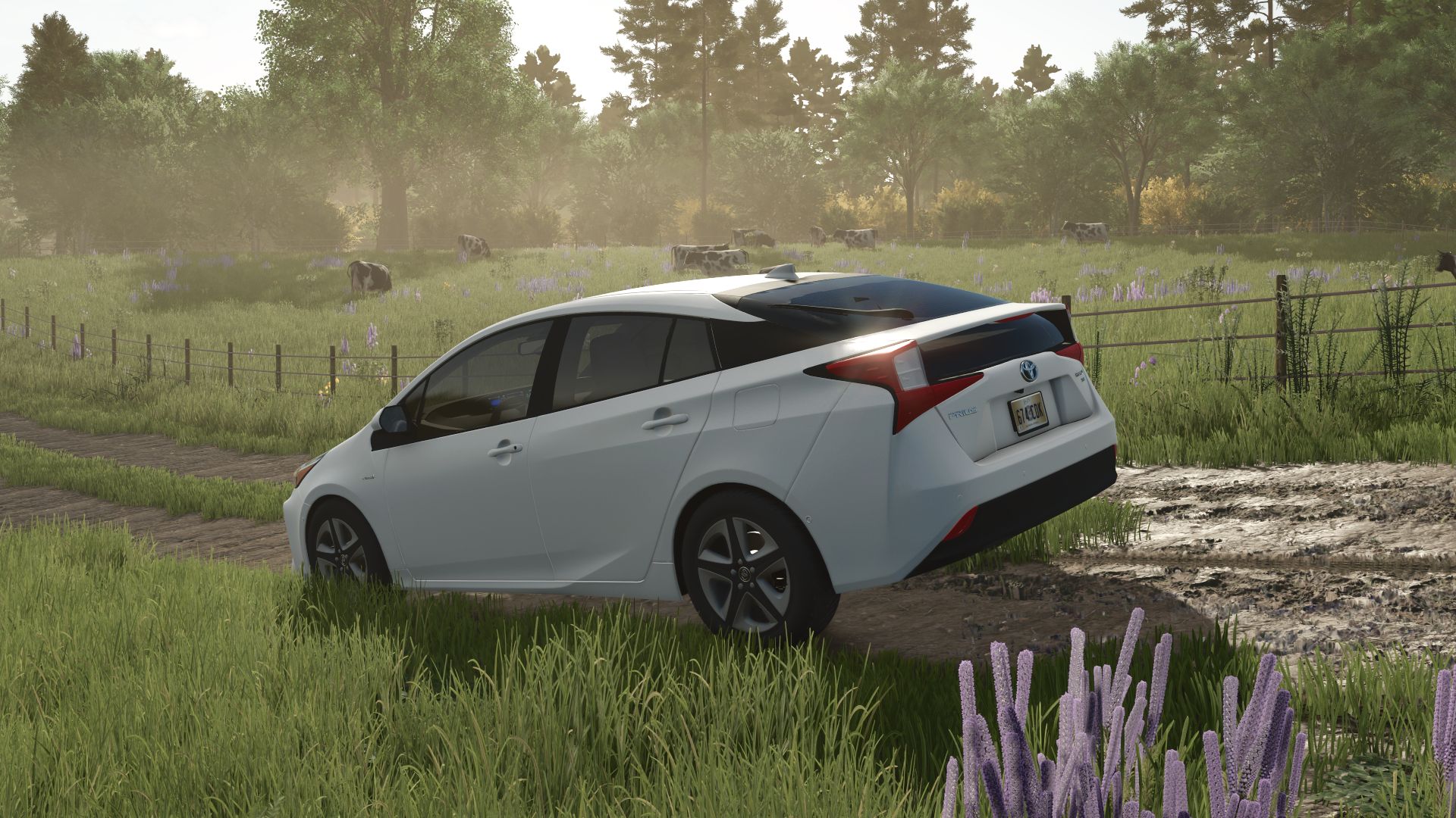 2019 Toyota Prius XLE