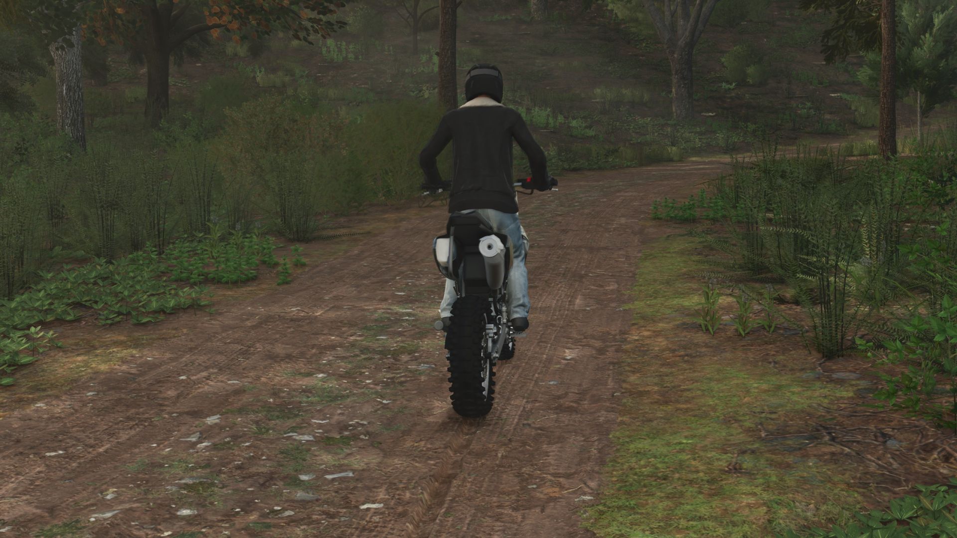 2023 Kawasaki KLX 300