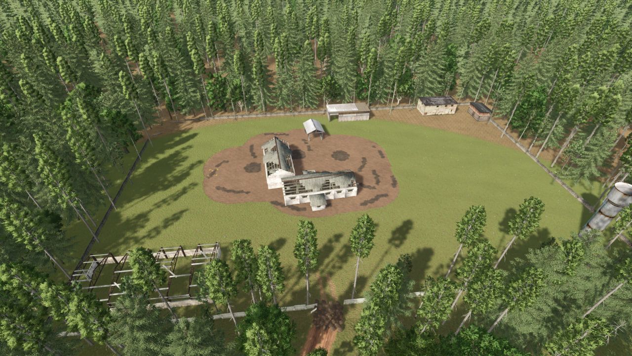 Abandoned taiga