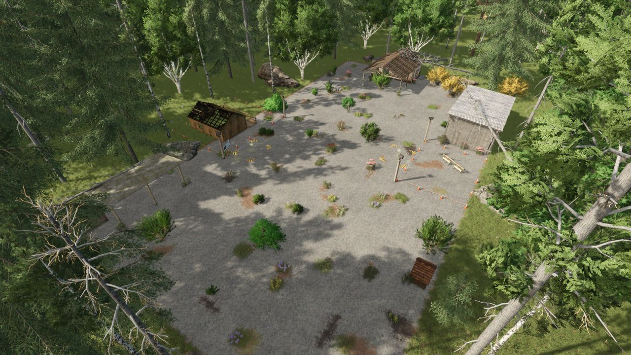 Abandoned taiga