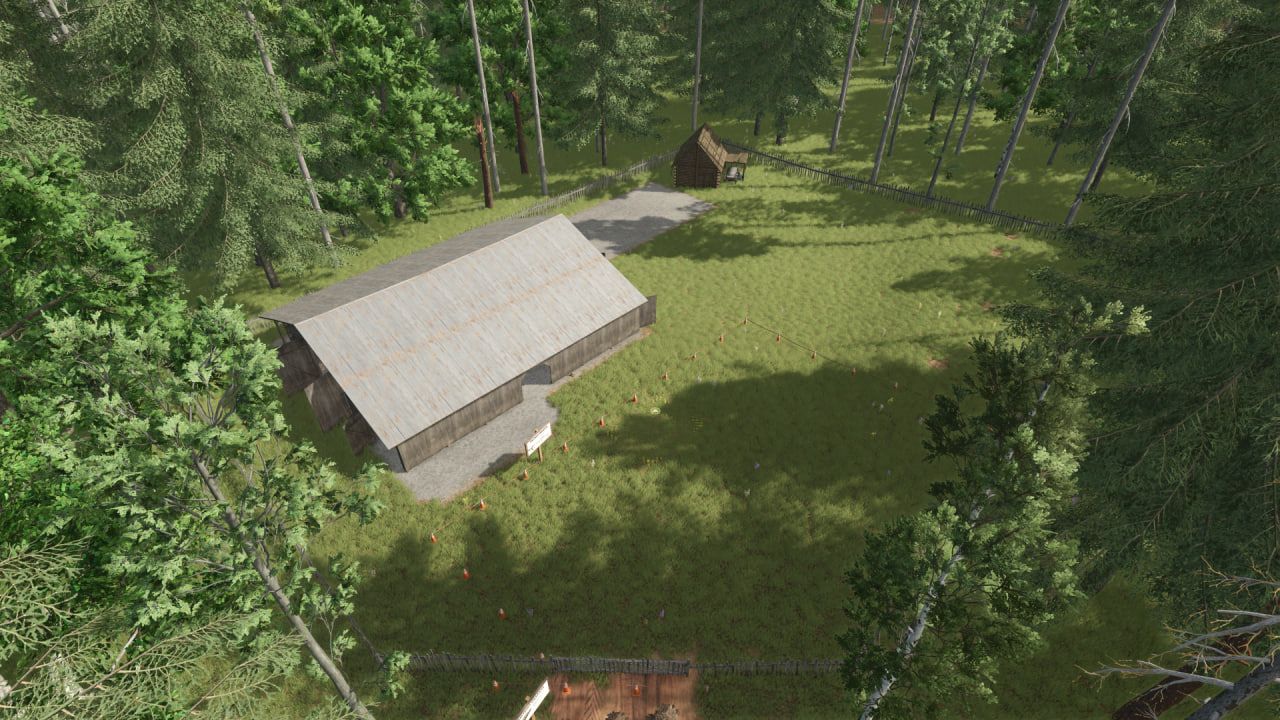 Abandoned taiga