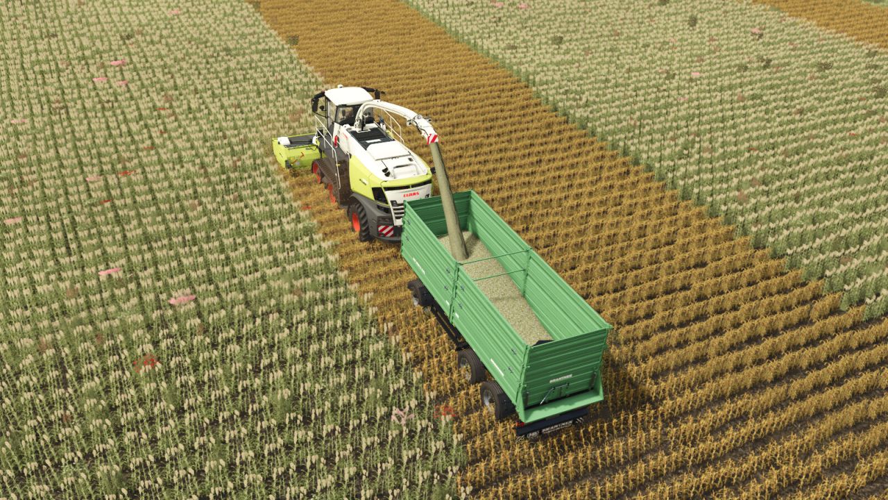 Additional-Contracts