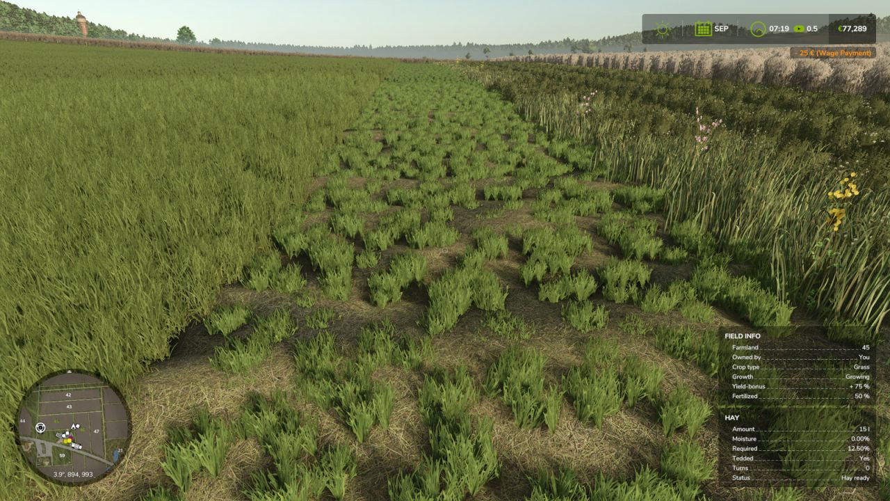 Усовершенствованная сушка сена