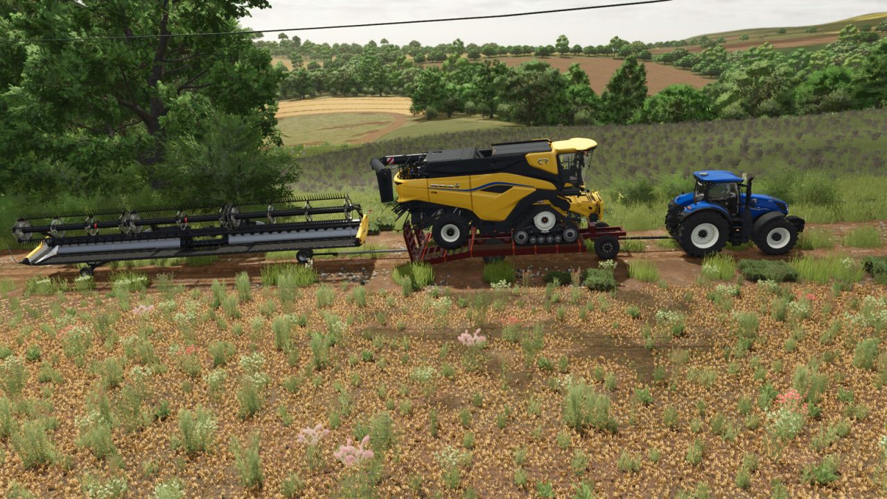 Landwirtschaftlicher Tieflader 10M
