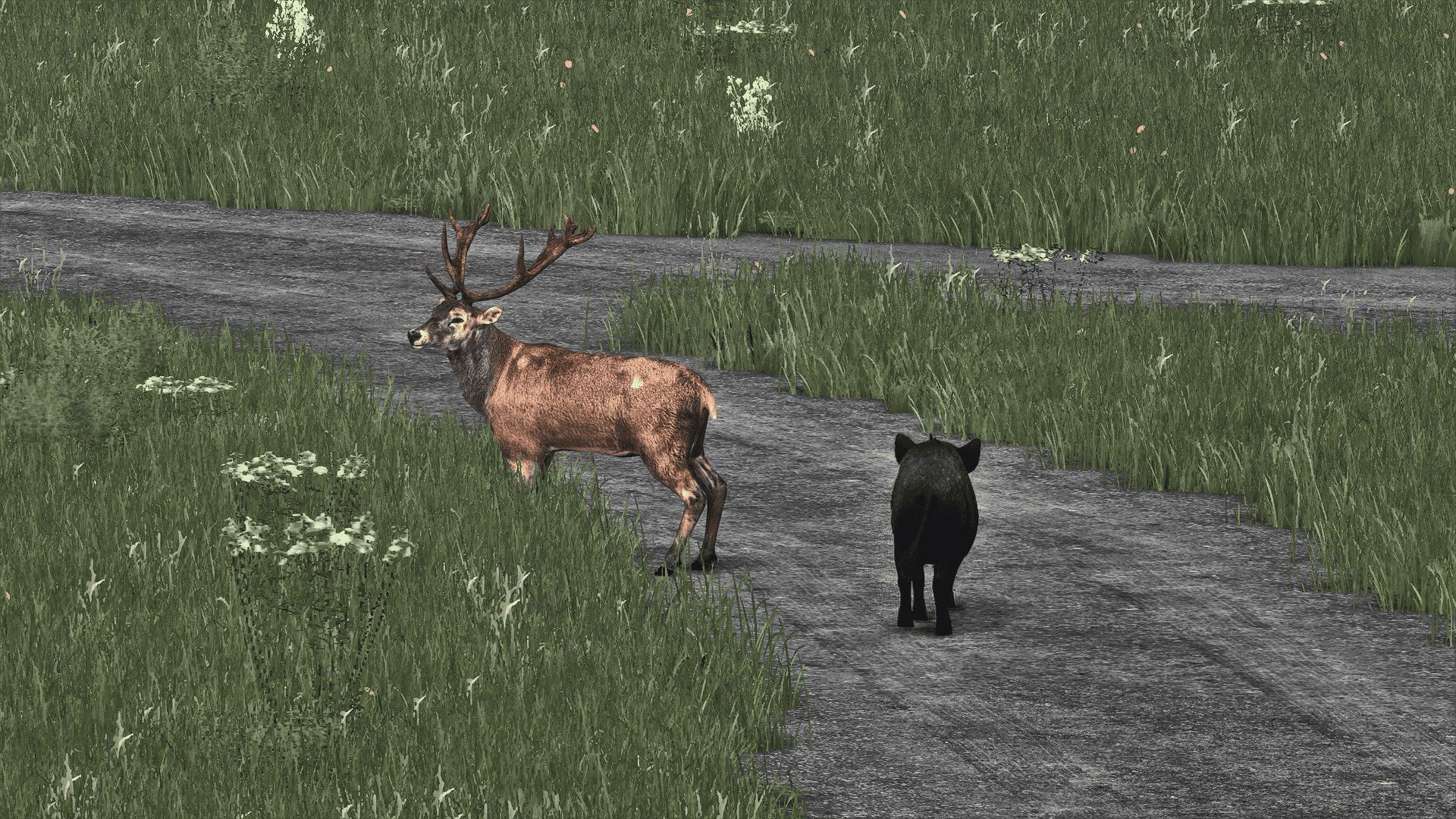 All-in-One-einfach zu installierende Texturpackung