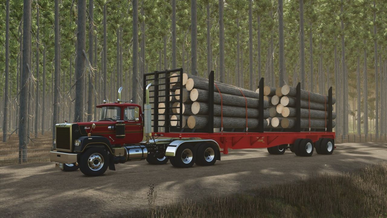 Amerikanisches Flachbett-Paket