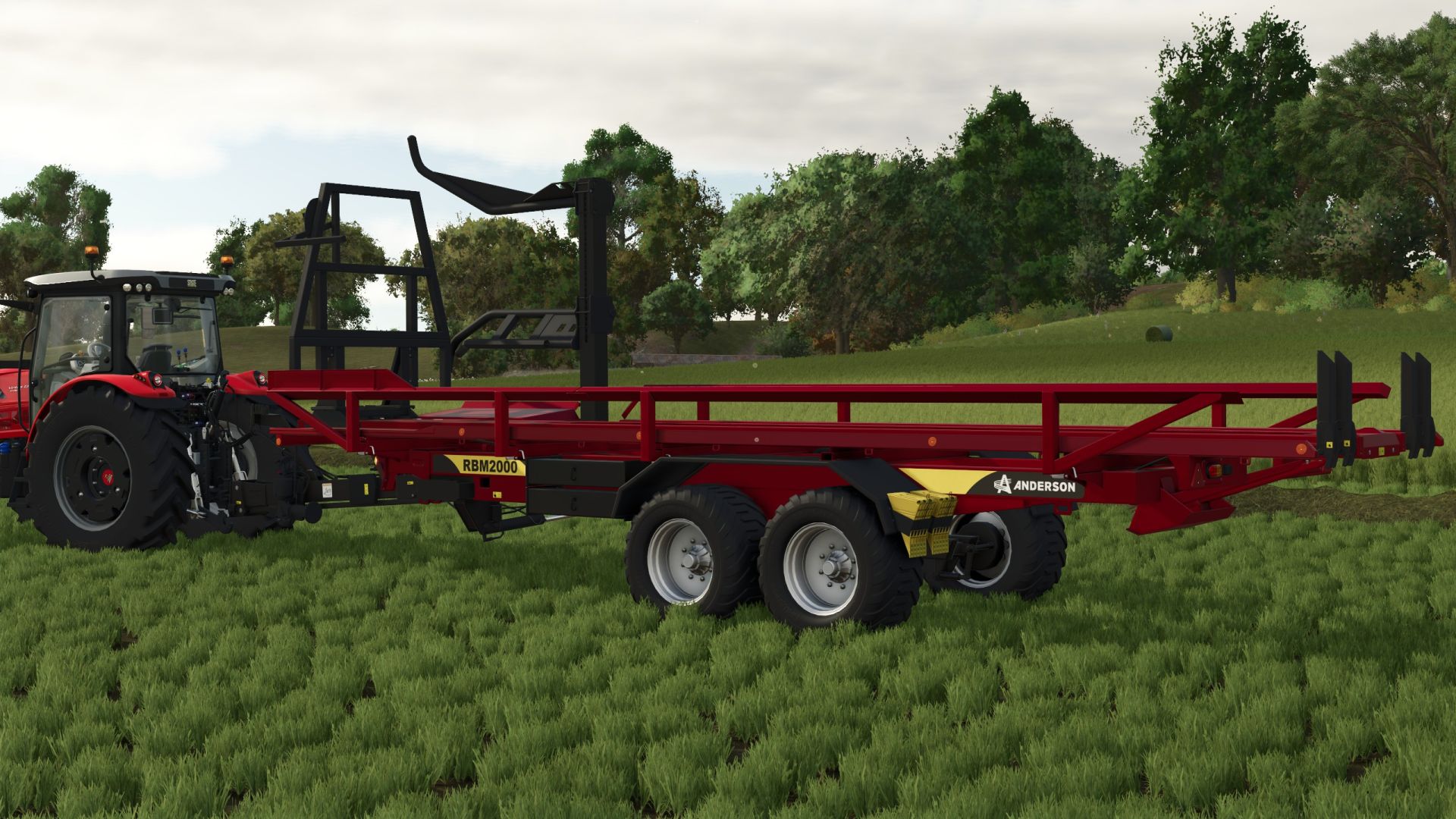 Anderson RBM 2000 (colore)