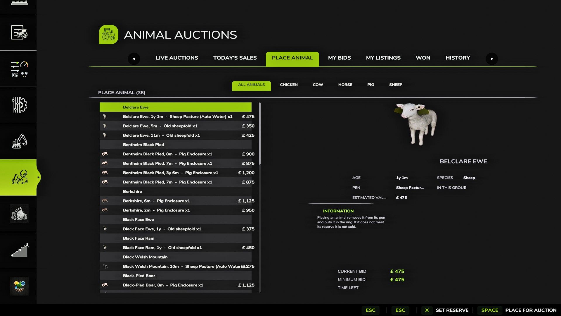Animal Auctions